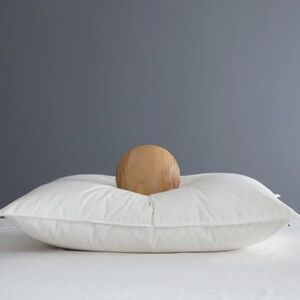 NWOT QUINCE Premium Down Alternative Pillow Soft Standard 8705